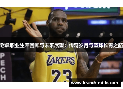 老詹职业生涯回顾与未来展望:传奇岁月与篮球长青之路