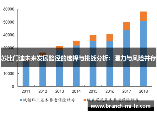 苏比门迪未来发展路径的选择与挑战分析：潜力与风险并存