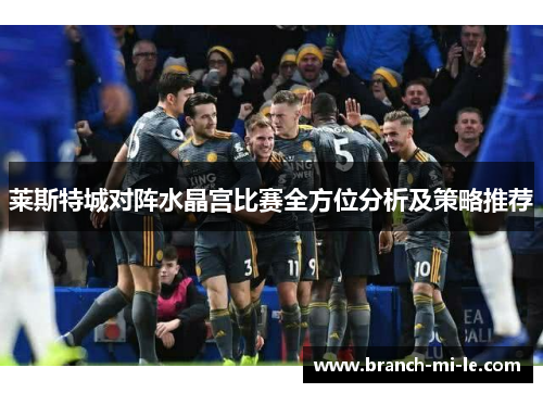 莱斯特城对阵水晶宫比赛全方位分析及策略推荐