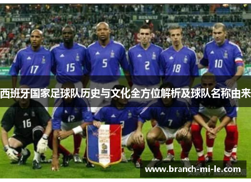 西班牙国家足球队历史与文化全方位解析及球队名称由来