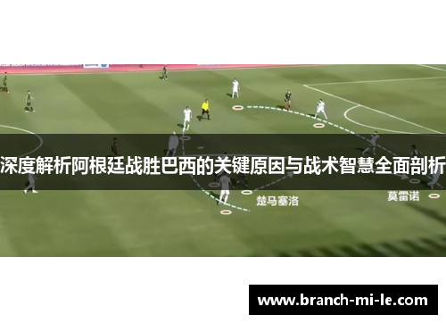 深度解析阿根廷战胜巴西的关键原因与战术智慧全面剖析