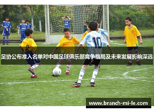 足协公布准入名单对中国足球俱乐部竞争格局及未来发展影响深远