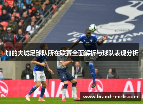 加的夫城足球队所在联赛全面解析与球队表现分析
