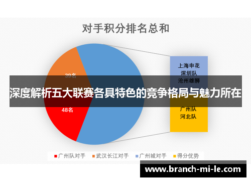 深度解析五大联赛各具特色的竞争格局与魅力所在