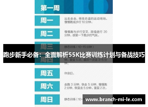 跑步新手必备：全面解析55K比赛训练计划与备战技巧