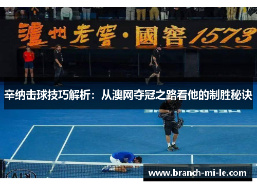 辛纳击球技巧解析：从澳网夺冠之路看他的制胜秘诀