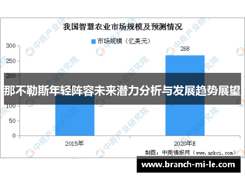 那不勒斯年轻阵容未来潜力分析与发展趋势展望