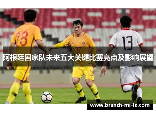 阿根廷国家队未来五大关键比赛亮点及影响展望