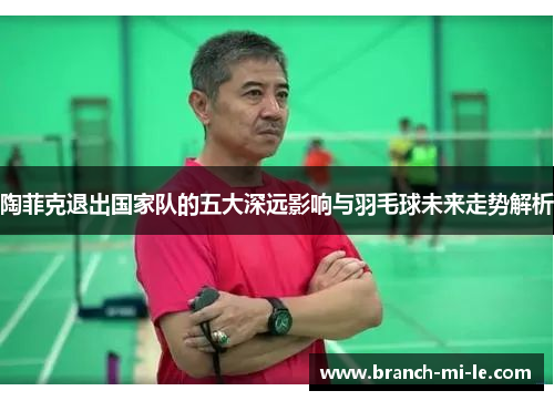陶菲克退出国家队的五大深远影响与羽毛球未来走势解析