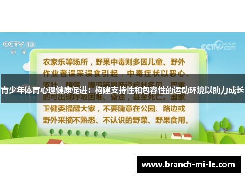 青少年体育心理健康促进：构建支持性和包容性的运动环境以助力成长