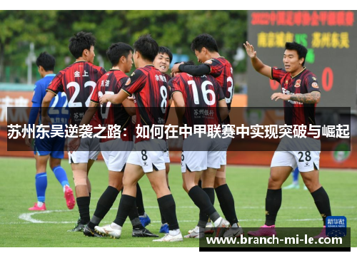 苏州东吴逆袭之路:如何在中甲联赛中实现突破与崛起 苏州东吴逆袭之路:如何在中甲联赛中实现突破与崛起
