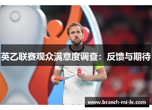 英乙联赛观众满意度调查：反馈与期待