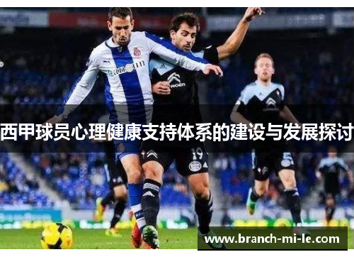 西甲球员心理健康支持体系的建设与发展探讨