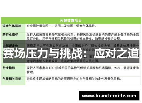 赛场压力与挑战：应对之道