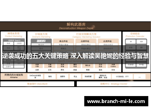 逆袭成功的五大关键策略 深入解读吴艳妮的经验与智慧 逆袭成功的五大关键策略 深入解读吴艳妮的经验与智慧