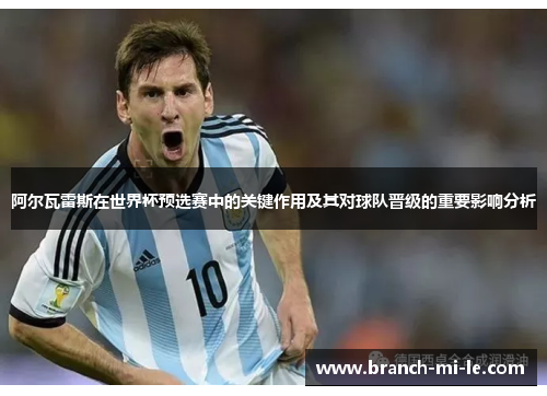 阿尔瓦雷斯在世界杯预选赛中的关键作用及其对球队晋级的重要影响分析