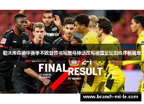 勒沃库森德甲赛季不败登顶书写黑马神话改写德国足坛旧秩序新篇章 勒沃库森德甲赛季不败登顶书写黑马神话改写德国足坛旧秩序新篇章