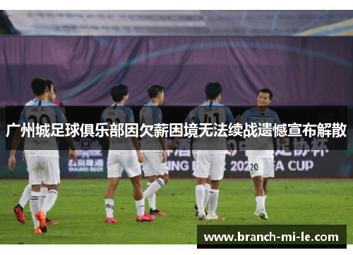广州城足球俱乐部因欠薪困境无法续战遗憾宣布解散 广州城足球俱乐部因欠薪困境无法续战遗憾宣布解散