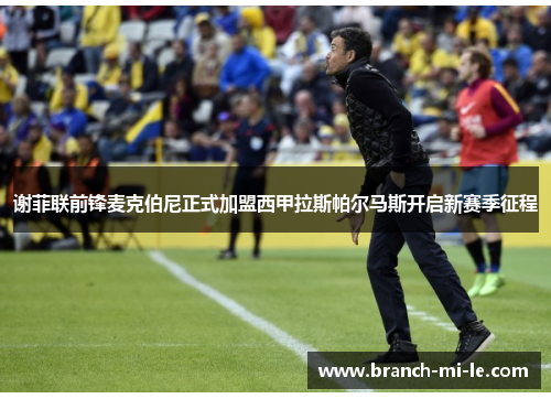 谢菲联前锋麦克伯尼正式加盟西甲拉斯帕尔马斯开启新赛季征程