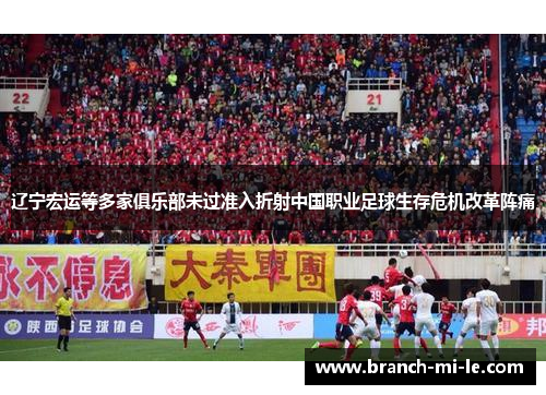 辽宁宏运等多家俱乐部未过准入折射中国职业足球生存危机改革阵痛