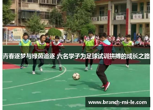 青春逐梦与绿茵追逐 六名学子为足球试训拼搏的成长之路