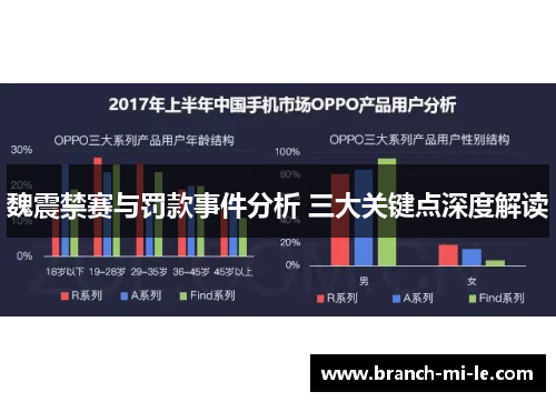 魏震禁赛与罚款事件分析 三大关键点深度解读