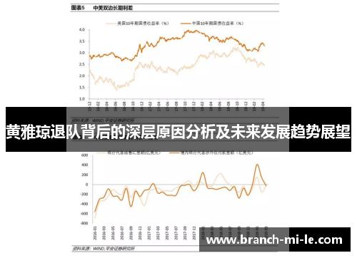 黄雅琼退队背后的深层原因分析及未来发展趋势展望