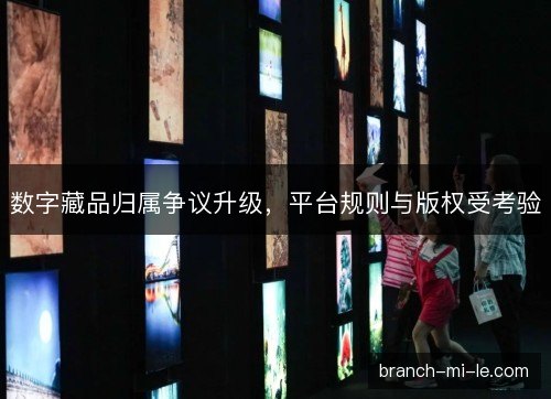 数字藏品归属争议升级，平台规则与版权受考验